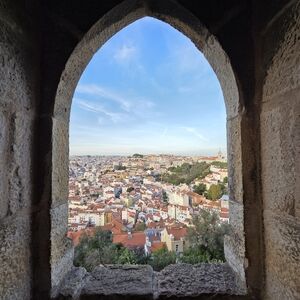 Meet your Posher, Daisy